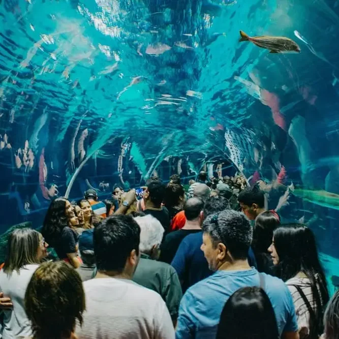 aquario-rio-de-janeiro.jpg